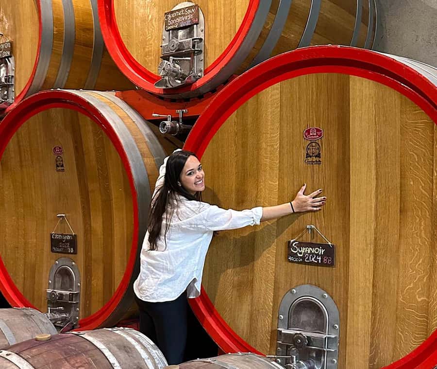 Santiago: World-class Wines, Visit to 4 Vineyards and Tanino - Emiliana: Organic Wine With a Clear Sense of Place