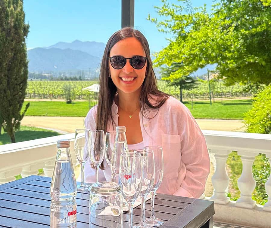 Santiago: World-class Wines, Visit to 4 Vineyards and Tanino - Bodegas RE: Small-Scale Wine With More Experiment