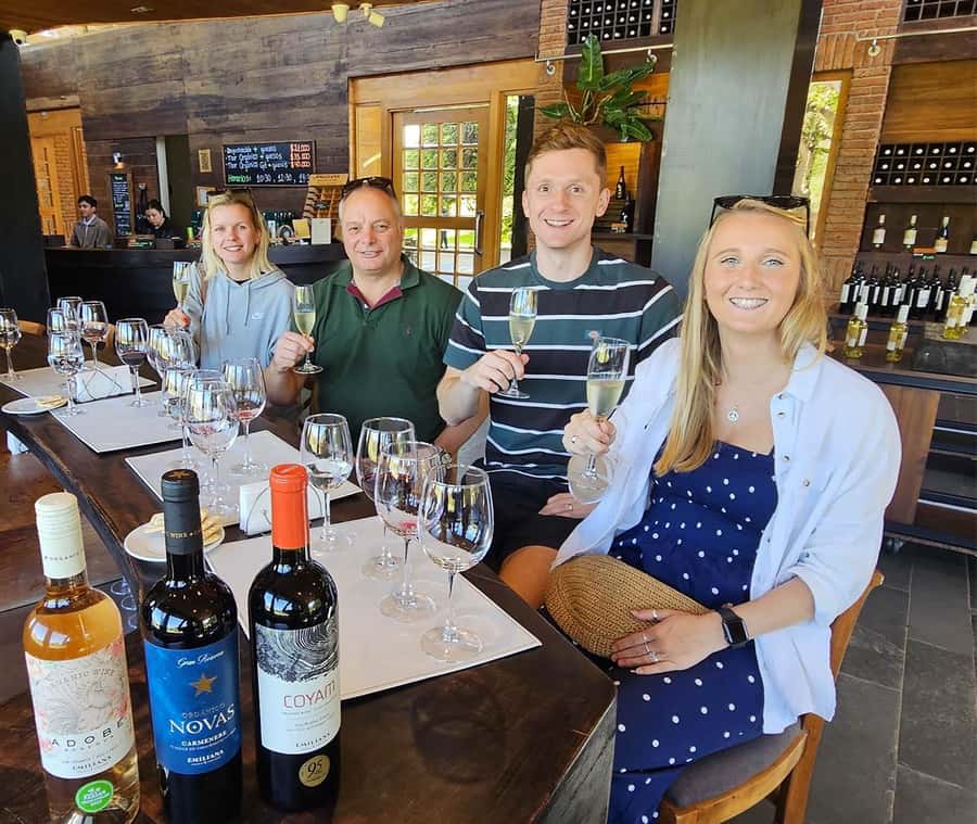 Santiago: World-class Wines, Visit to 4 Vineyards and Tanino - Who Will Enjoy This Wine Day Most