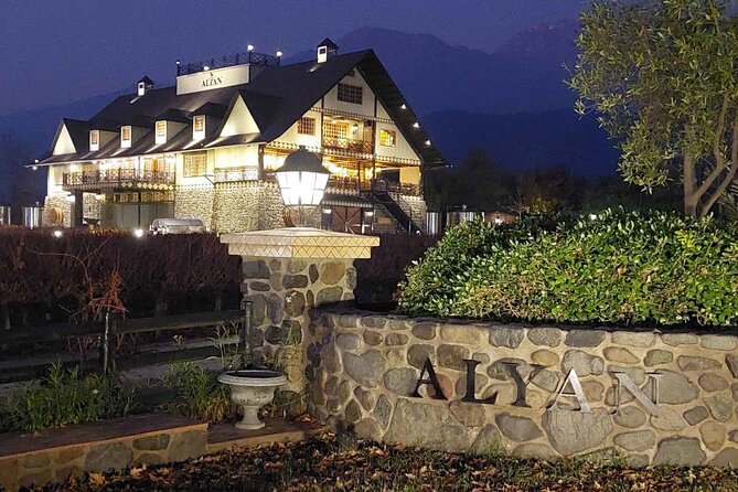 Sunset Alyan + 6 wines + individual snack + rustic dinner - Six wines, served with a steady supply of snacks