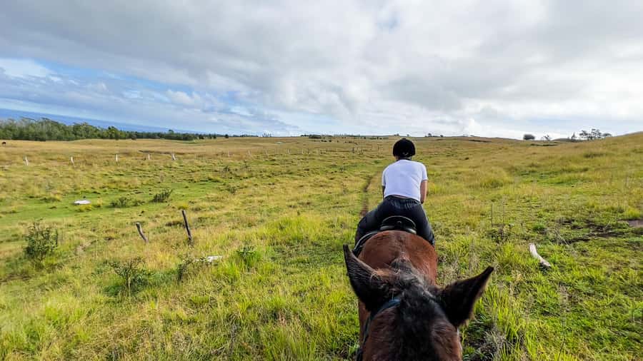 Terevaka Horse Excursion: The highest point and 360° view. - Why Terevaka is the right place for a horseback ride