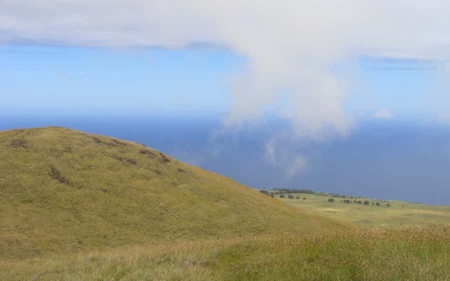 Terevaka Horse Excursion: The highest point and 360° view. - Should you book the Terevaka horse excursion?