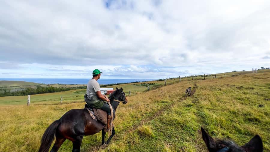 Terevaka Horse Excursion: The highest point and 360° view. - Riding toward Terevaka’s summit