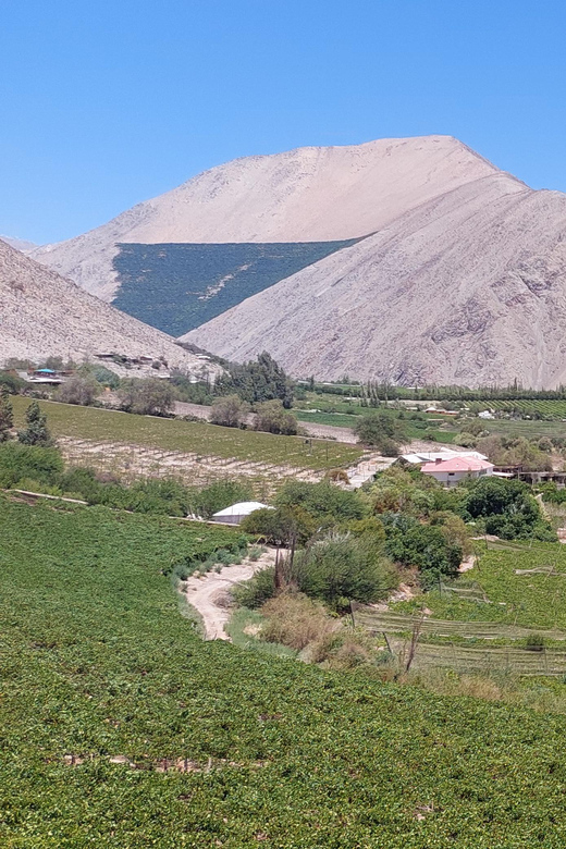 The Magnificient Elqui Valley Grand Tour - Papayas, wine, and a solar-cooked lunch