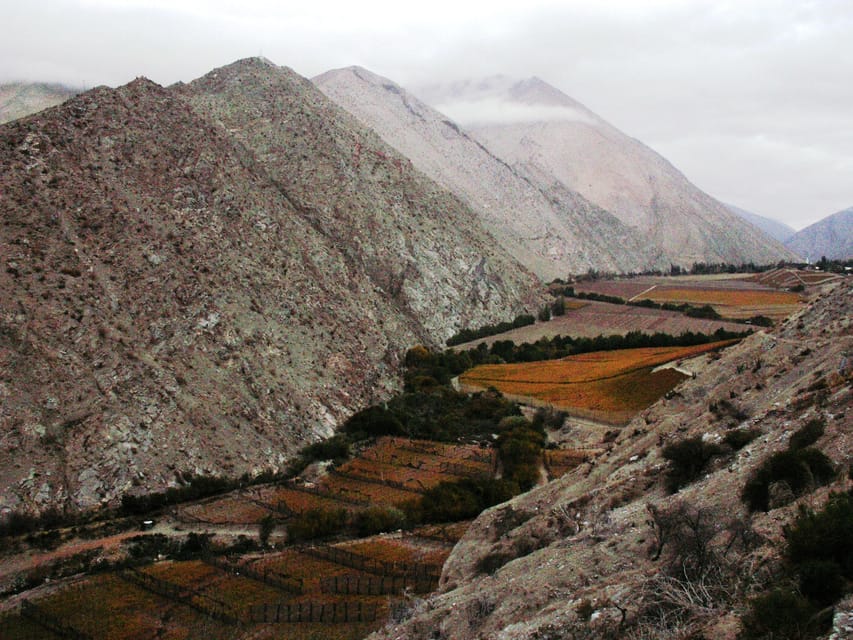 The Magnificient Elqui Valley Grand Tour - Diaguitas and the valley’s handmade culture