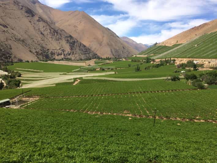 The Magnificient Elqui Valley Grand Tour - Pisco Elqui and the final mountain villages