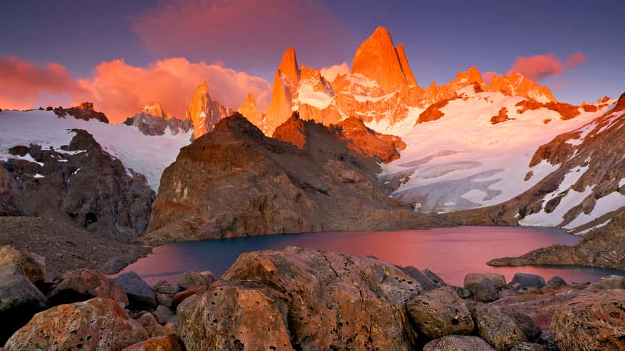Torres del Paine Day Trip from El Calafate - Who should book this day trip?