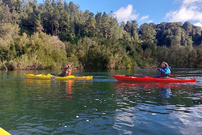 Tour Guiado en Kayak por Rio Maullin / Medío dia en Pto. Varas - The quiet character of the Maullín River