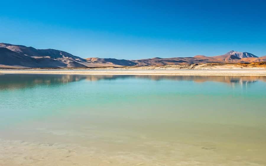 Tour Piedras Rojas + Altiplanic Lagoons + Chaxa Lagoon - Why this day makes sense from San Pedro de Atacama