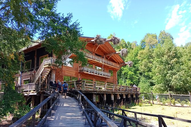 Tour to Huilo Huilo from Pucón, Villarrica - Why this Huilo Huilo day trip works