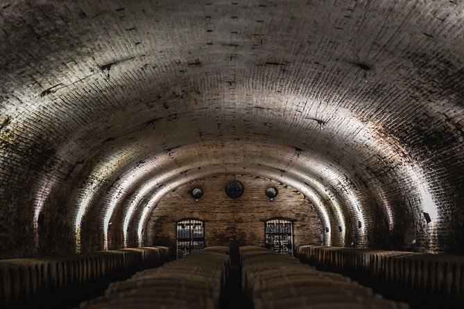 "Tour Tradicional" Viña Cousiño Macul Oficial portugués - The museum and the final tasting