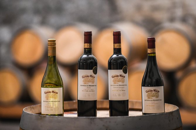 "Tour Tradicional" Viña Cousiño Macul Oficial portugués - The family story behind the bottles