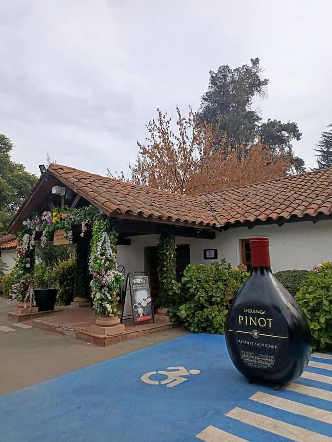 UNDURRAGA VINEYARD - How the wine tasting works