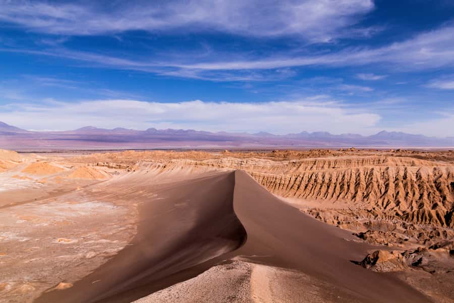 Vallecito - Meeting the Magic Bus of Atacama