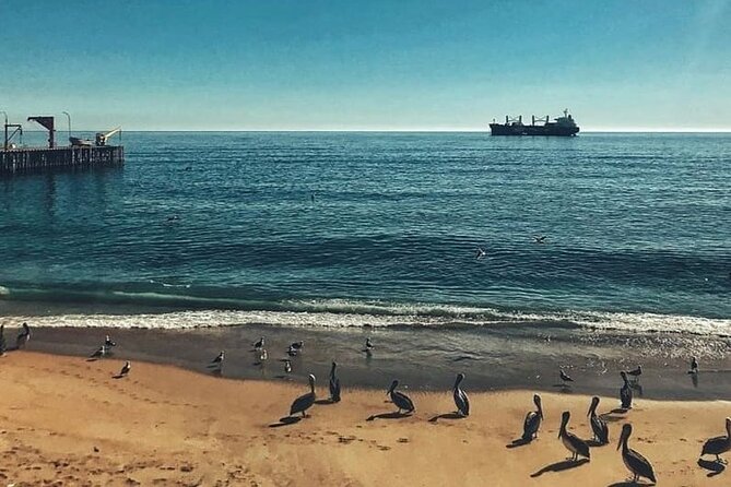 Valparaiso and Viña del Mar Tour and Casa Blanca Valley Wine Shop - Paseo 21 de Mayo gives you the big picture