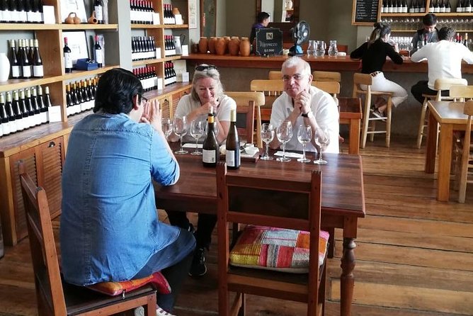 Valparaiso & Casablanca : Wine, Gastronomy and Living Culture - Timing, comfort, and who should book