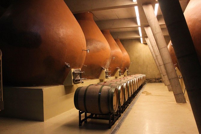 Valparaiso & Casablanca : Wine, Gastronomy and Living Culture - Casablanca Valley and the short wine tasting