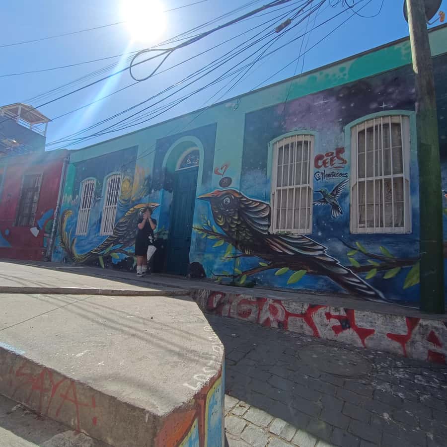 Valparaíso: city tour and ticket to the house of Pablo Neruda - Who will enjoy this tour most