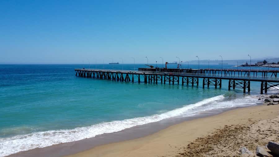 Valparaiso Port and Viña del Mar, Wine tasting in Casablanca - Should you book this tour?