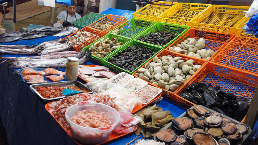 Valparaiso Port and Viña del Mar, Wine tasting in Casablanca - A seafood lunch break by the coast