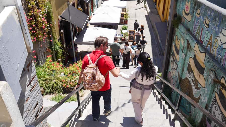 Valparaiso Port and Viña del Mar, Wine tasting in Casablanca - Practical details before you book