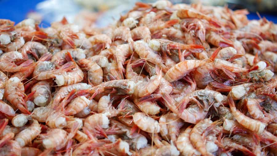 Valparaiso Port and Viña del Mar, Wine tasting in Casablanca - Who will enjoy this Santiago day trip most