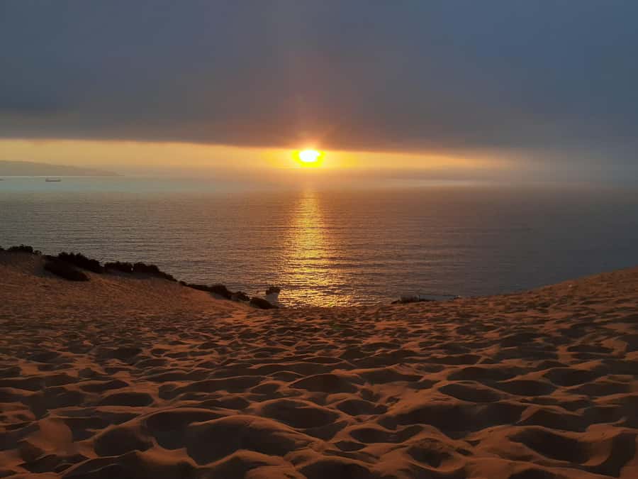 Valparaíso: Sandboarding and Sunset in Concon Sand Dunes - Learning to sandboard with room to try