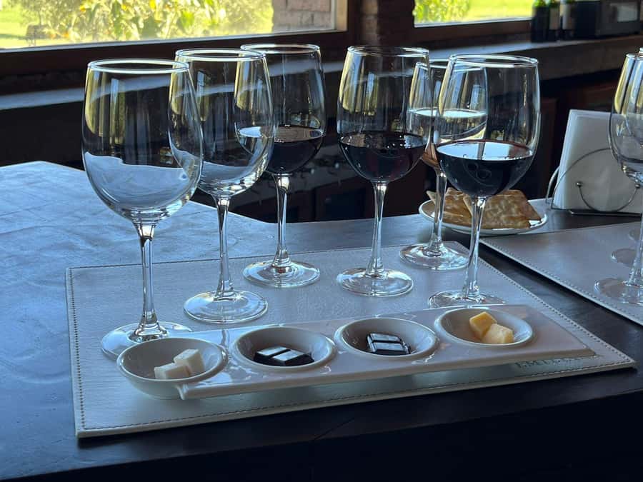 Valparaíso to Casablanca: wine tour with premium tasting and transportation - Key points at a glance