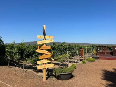 Valparaíso to Casablanca: wine tour with premium tasting and transportation