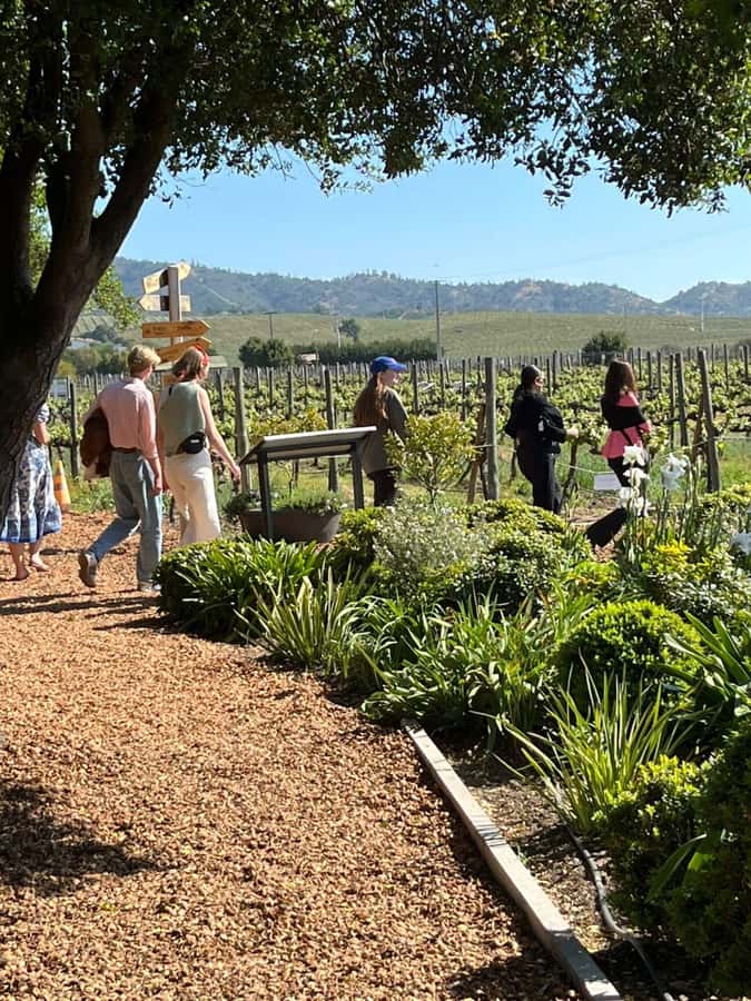 Valparaíso to Casablanca: wine tour with premium tasting and transportation - Who will enjoy this outing most