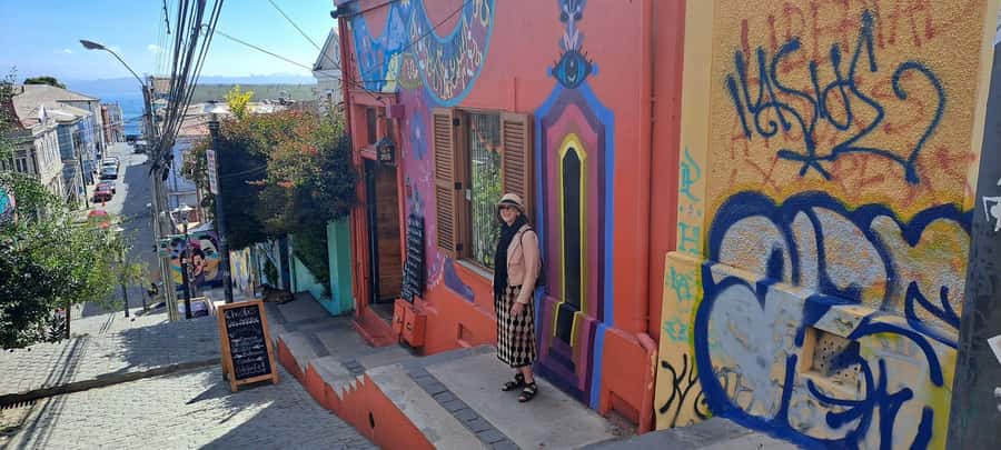 Valparaíso Viña del Mar y Reñaca - Key points to know before you book