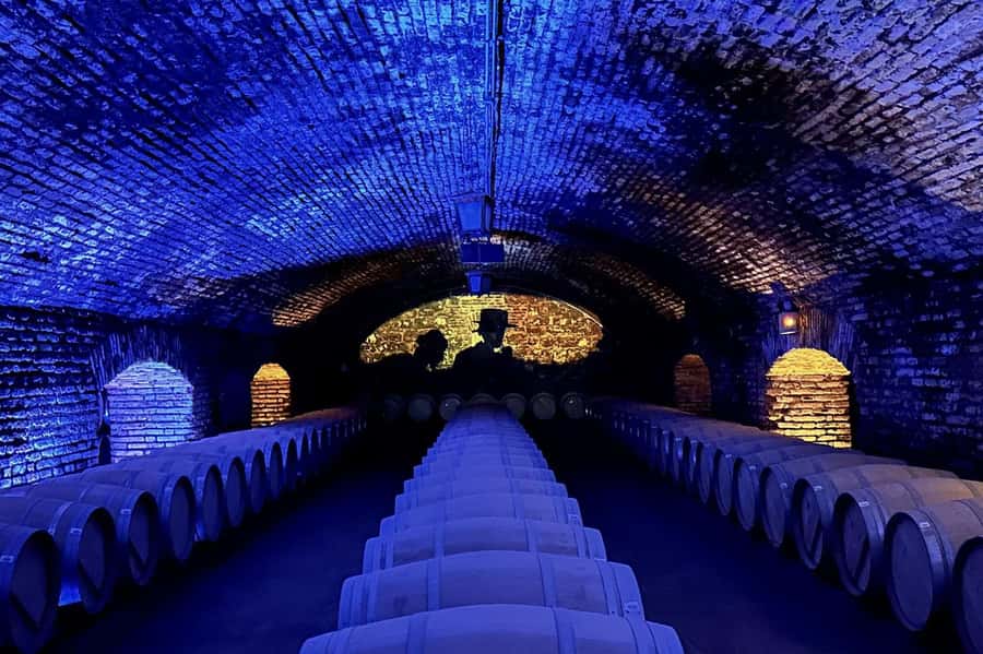 Viña Concha y Toro Nighttime: Dinner Show - Should you book the nighttime dinner show?