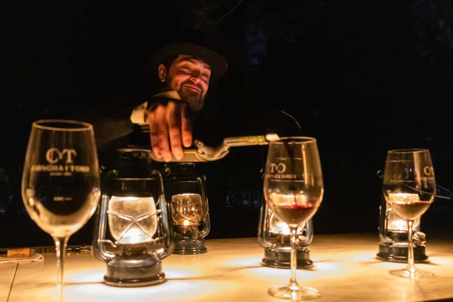 Viña Concha y Toro Nighttime: Dinner Show - Who will enjoy this night at Concha y Toro
