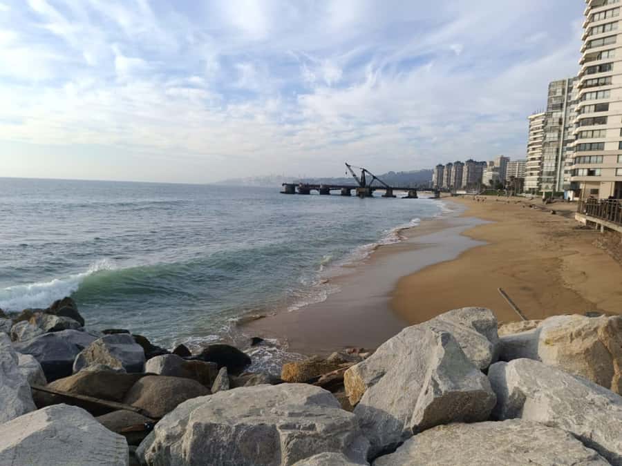 Viña del Mar: Guided city tour - Guide style and language
