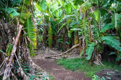 Volcanic Refuges: Excursion to Underground Civilization