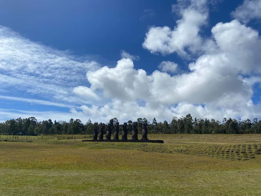 Volcanic Refuges: Excursion to Underground Civilization - Puna Pau adds a shorter final stop