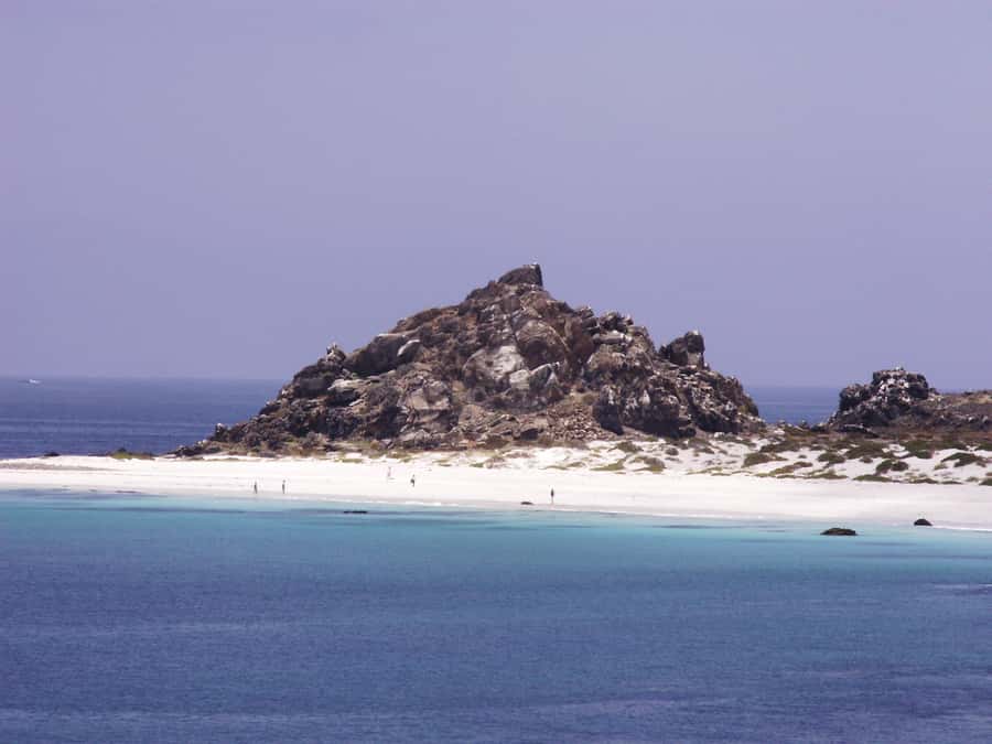 Whales & Humboldt Penguins: Chañaral or Damas island hiking - Punta Teatinos and Juan Soldado: early coastal context